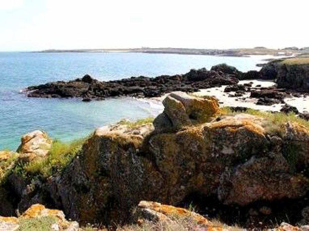 156 ILE DE HOEDIC_000077.jpg